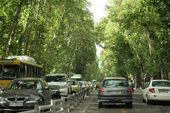 حفظ درختان خیابان ولیعصر(عج) با تلاش مدیریت شهری منطقه یک 