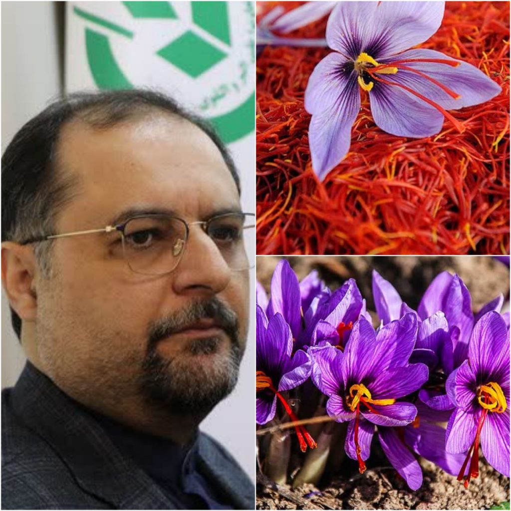 شیرزاد:زعفران ایرانی نیاز به بازار مدرن دارد
