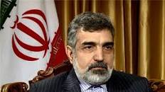 کمالوندی: اروپا علاقمند همکاری با ایران است