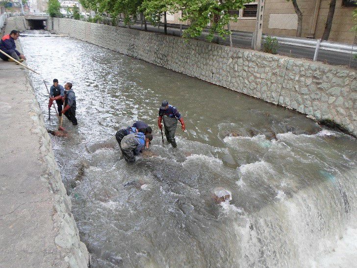کسب رتبه نخست منطقه چهار تهران در لایروبی و پاکسازی مسیل ها و آبهای سطحی