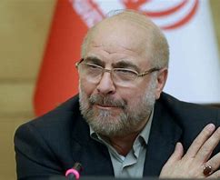 مشارکت در انتخابات به نفع همه علاقه‌مندان به ایران خواهد بود