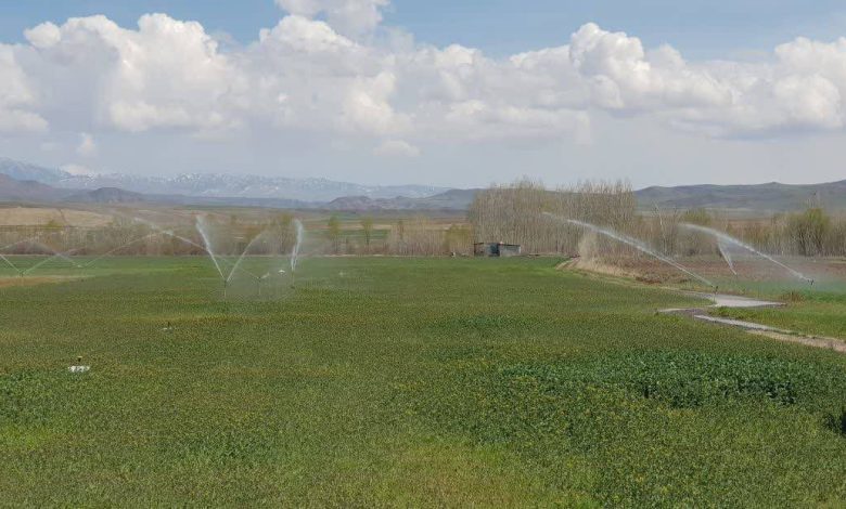 تجهیز بیش از ۱۰۰۰ هکتار از زمین‌های کشاورزی اردبیل به سیستم آبیاری تحت فشار