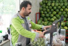 اختلاف قیمت میوه در میادین میوه و تره بار با سطح شهر تهران چقدر است؟