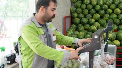 اختلاف قیمت میوه در میادین میوه و تره بار با سطح شهر تهران چقدر است؟